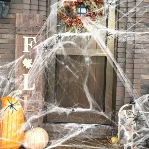 Spider Web Party Decoration (with 2 spiders)